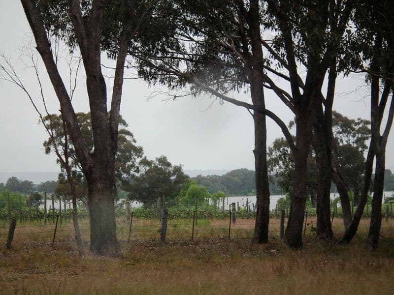 13 Baxters Road, GOULBURN WEIR VIC 3608, Goulburn Weir - Thumbnail 3