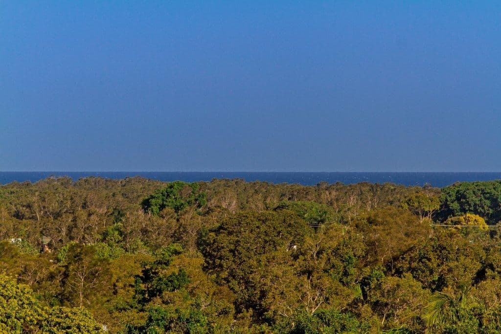 12 Martinelli Avenue, BANORA POINT NSW 2486, Banora Point - Thumbnail 2