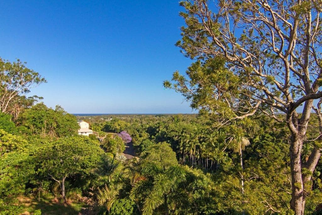 12 Martinelli Avenue, BANORA POINT NSW 2486, Banora Point - Thumbnail 5