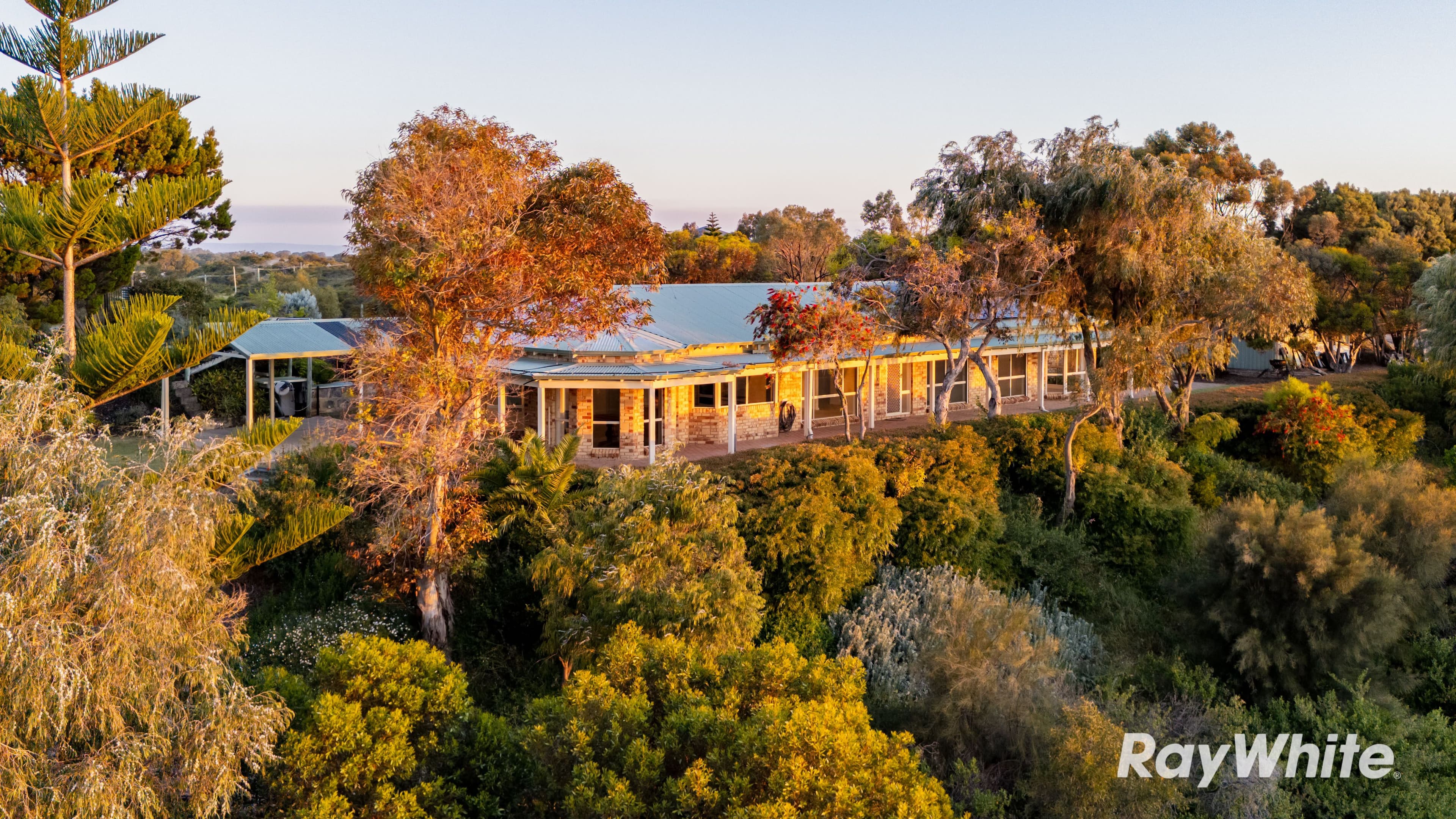 38 Emerald Court, Singleton WA 6175, Singleton - Thumbnail 3