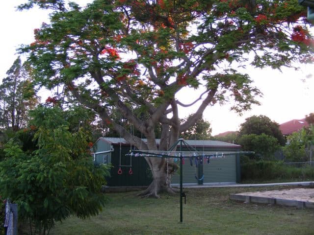28 Dinmore Street, MOOROOKA QLD 4105, Moorooka - Thumbnail 2