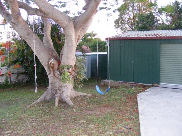 28 Dinmore Street, MOOROOKA QLD 4105, Moorooka - Thumbnail 4