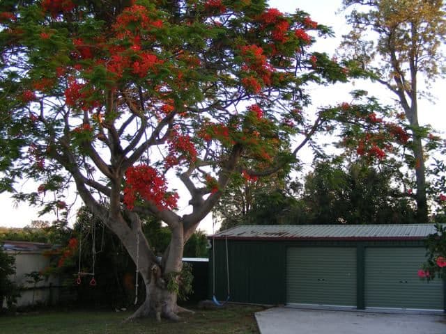 28 Dinmore Street, MOOROOKA QLD 4105, Moorooka - Thumbnail 6