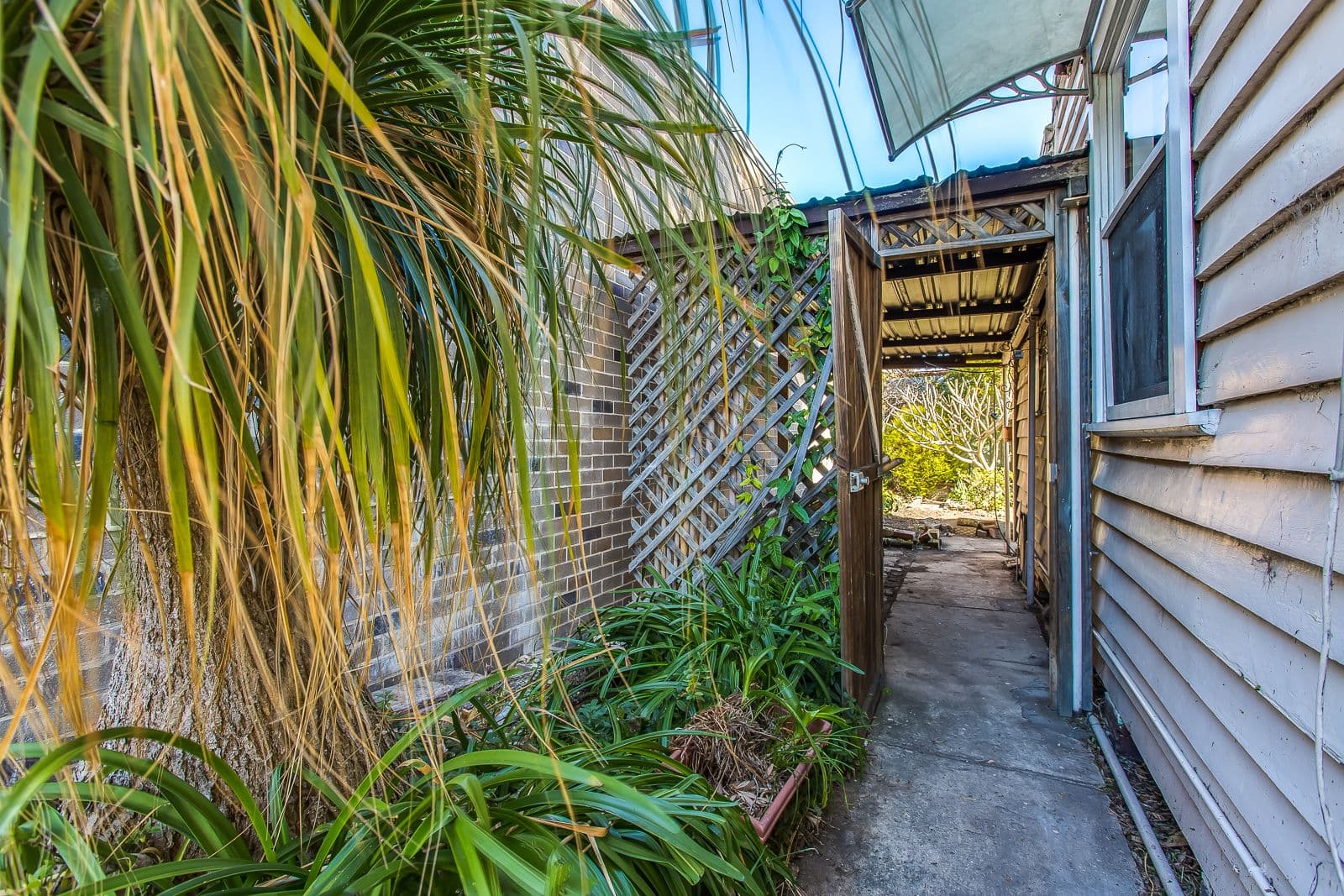 10 Annie Street, Wickham - Thumbnail 5