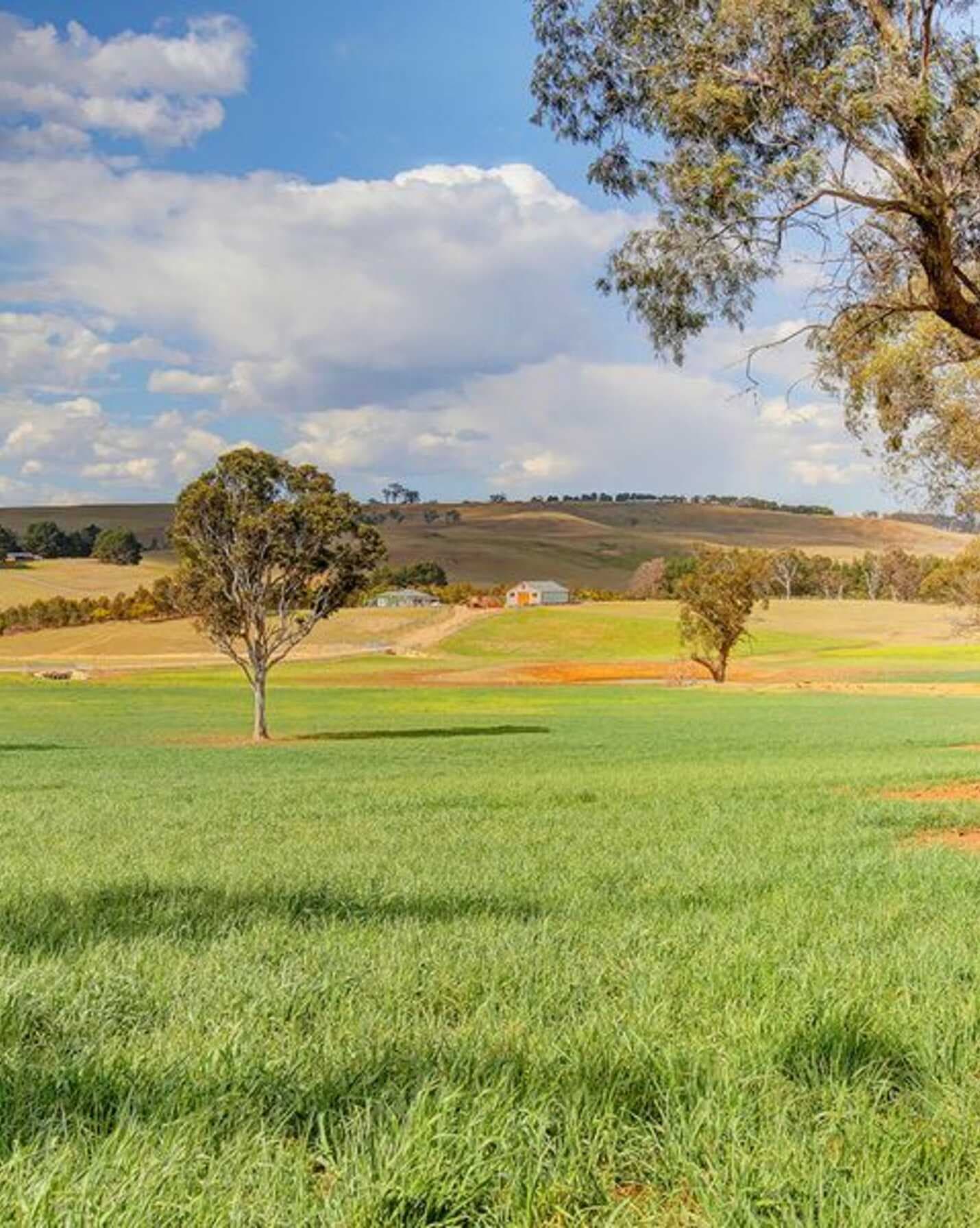 Berrima, Berrima - Image 1