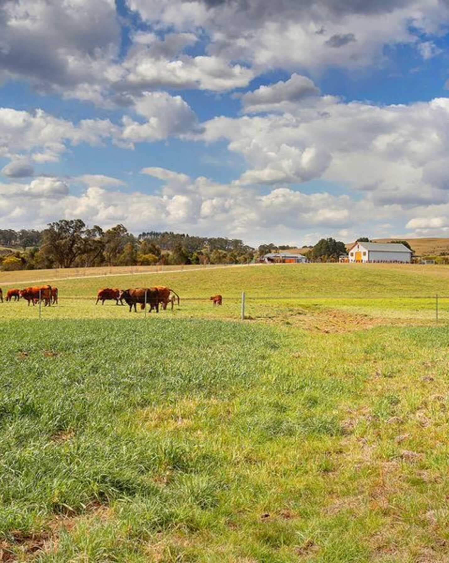 Berrima, Berrima - Thumbnail 2