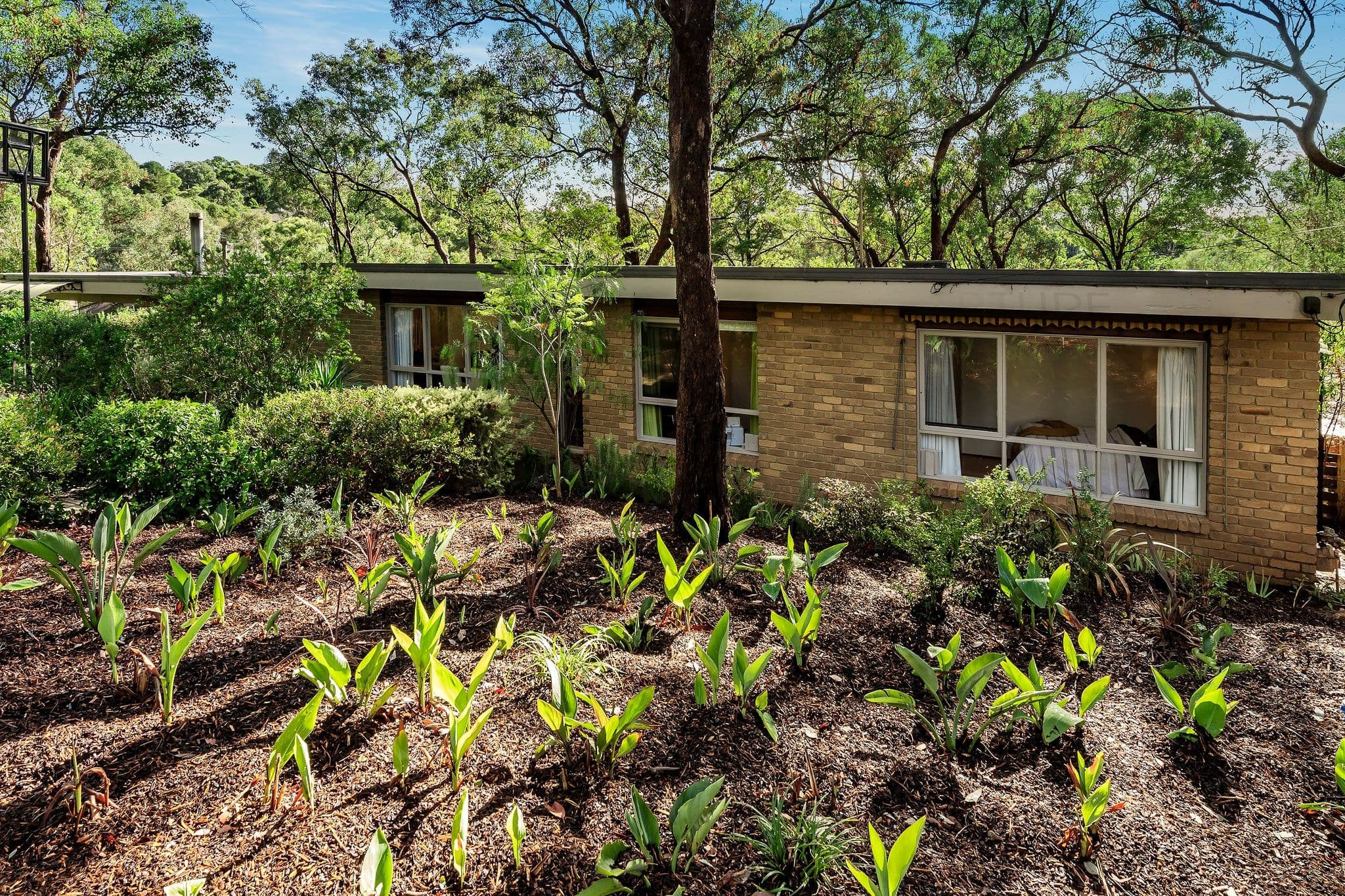 30 Edmonds Street, Diamond Creek VIC 3089, Diamond Creek - Thumbnail 3
