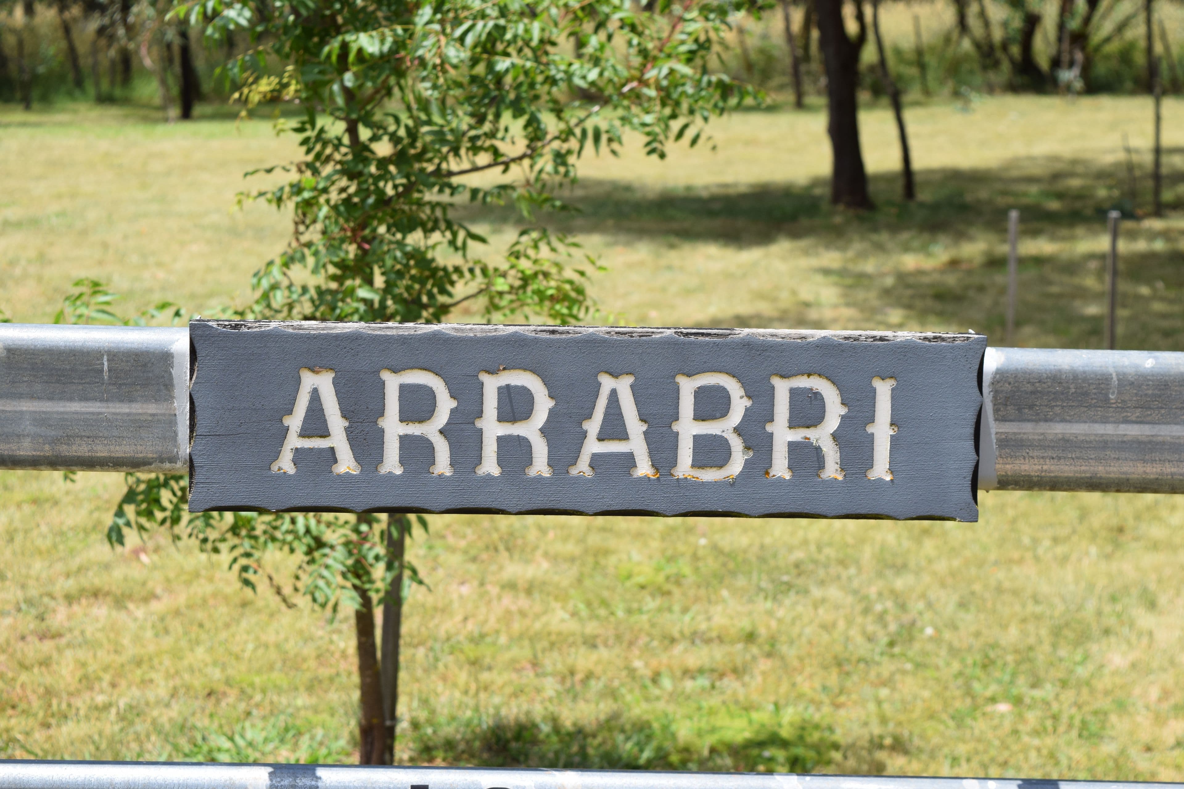 Arrabri 187 Jabez Hill Road, GUYRA NSW 2365, Guyra - Thumbnail 4