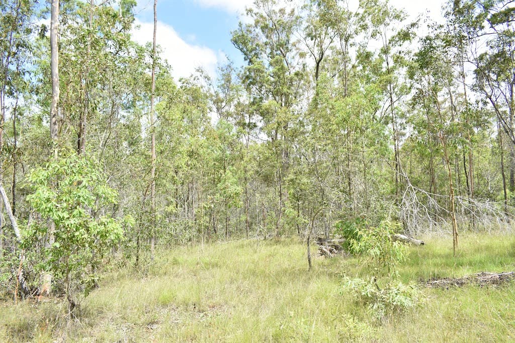 Lot 1 Maryborough Biggenden Rd, Aramara, QLD, 4620, Aramara - Thumbnail 2