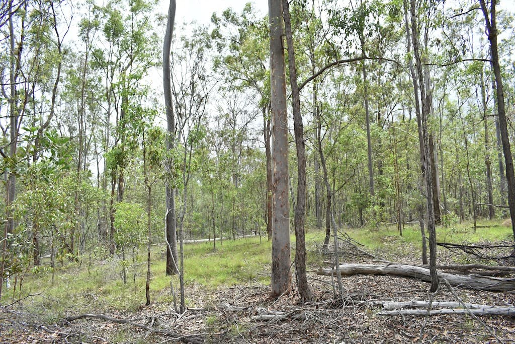 Lot 1 Maryborough Biggenden Rd, Aramara, QLD, 4620, Aramara - Thumbnail 5