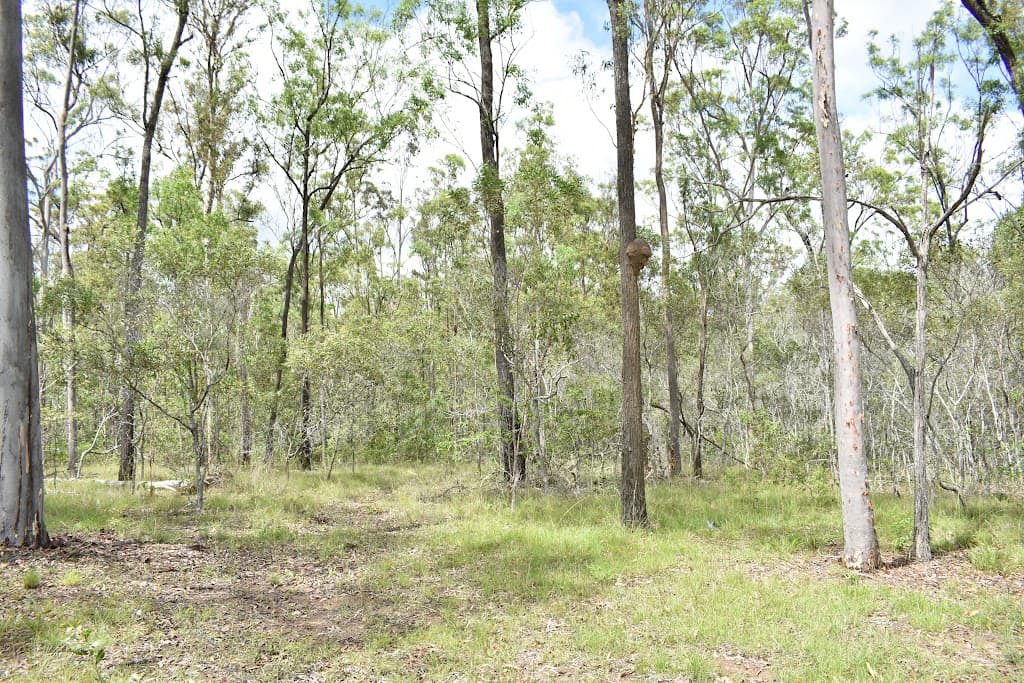 Lot 1 Maryborough Biggenden Rd, Aramara, QLD, 4620, Aramara - Thumbnail 6