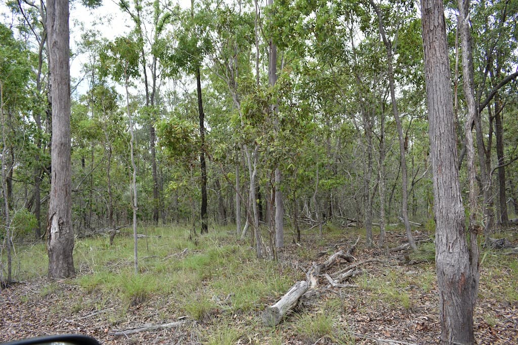 Lot 1 Maryborough Biggenden Rd, Aramara, QLD, 4620, Aramara - Thumbnail 7