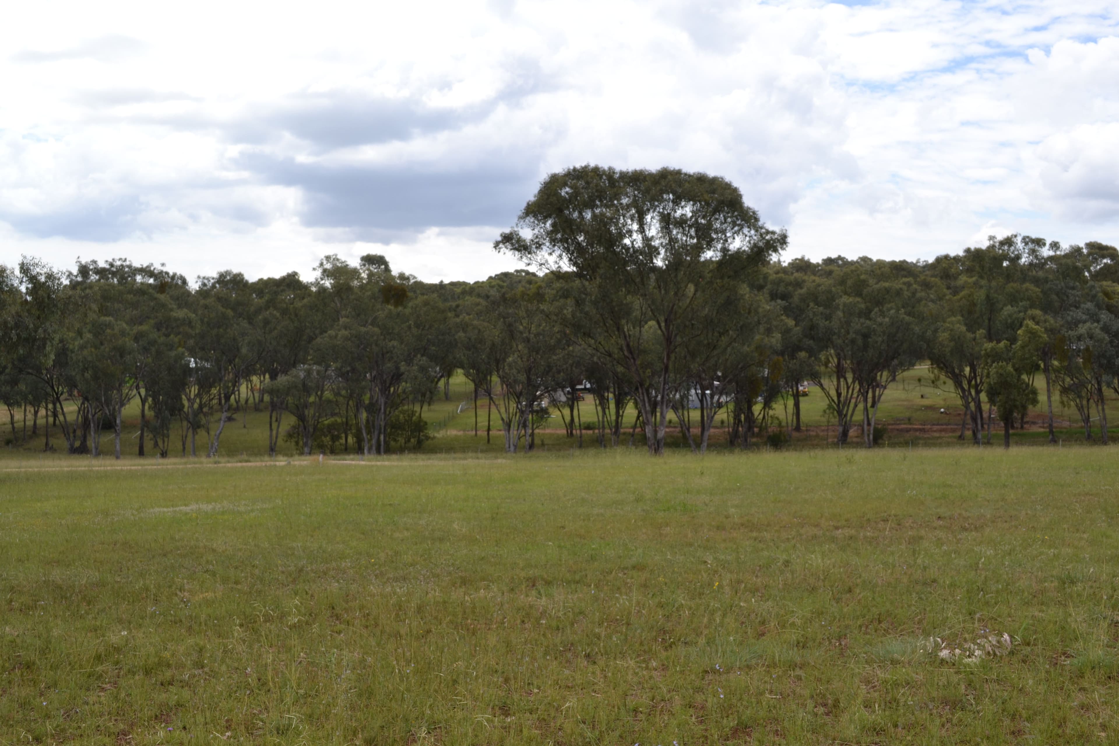 Lot 5 White Box Place, Inverell NSW 2360, Inverell - Thumbnail 2