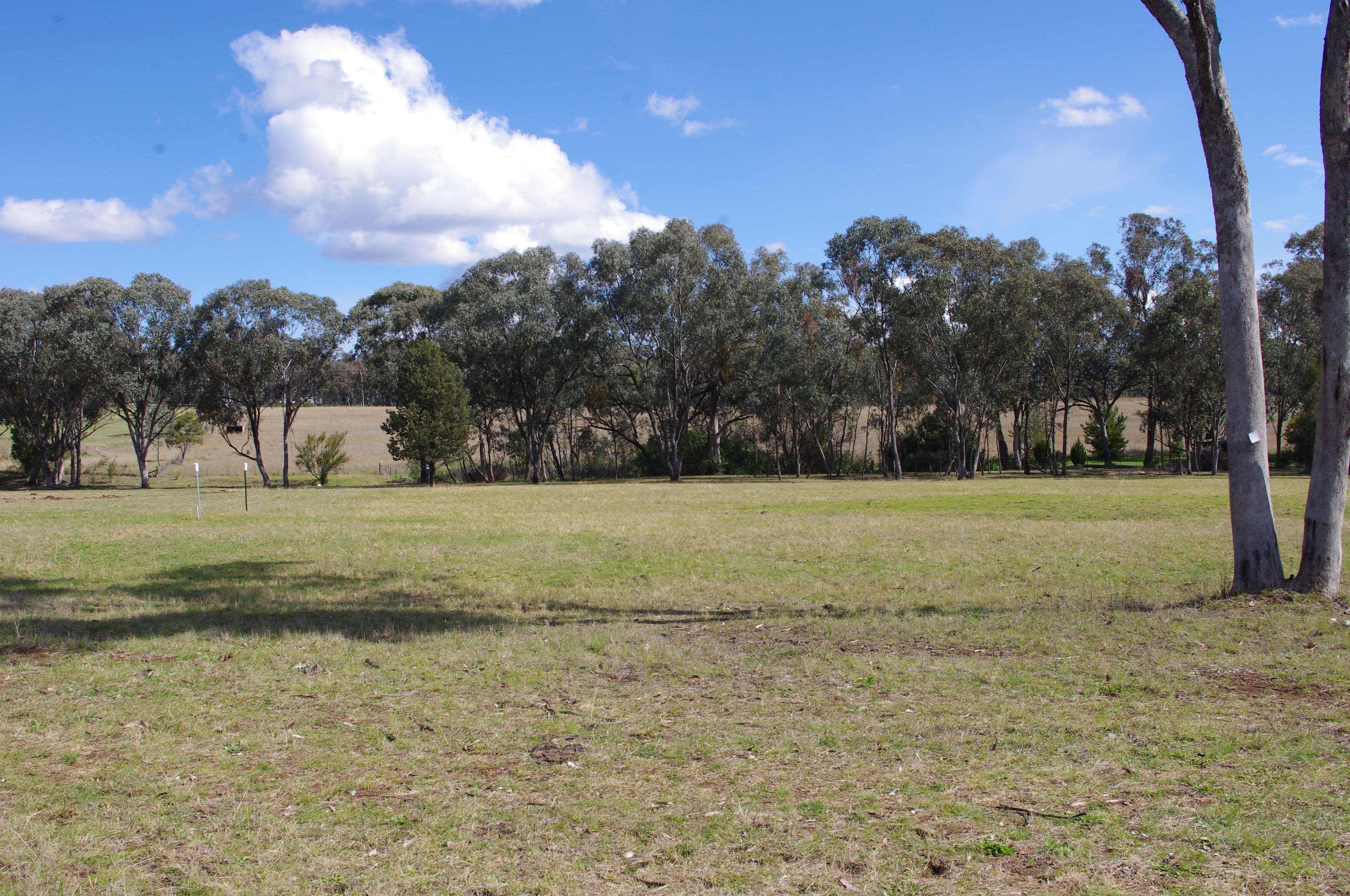 Lot 5 White Box Place, Inverell NSW 2360, Inverell - Thumbnail 5