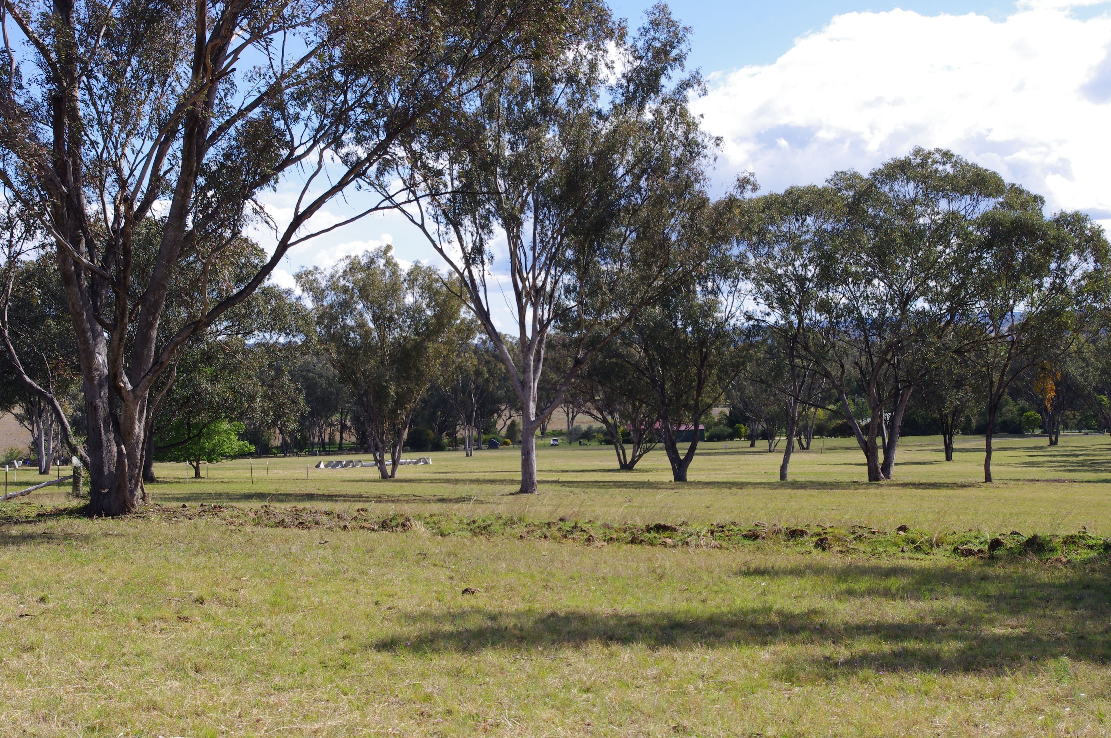 Lot 5 White Box Place, Inverell NSW 2360, Inverell - Thumbnail 7