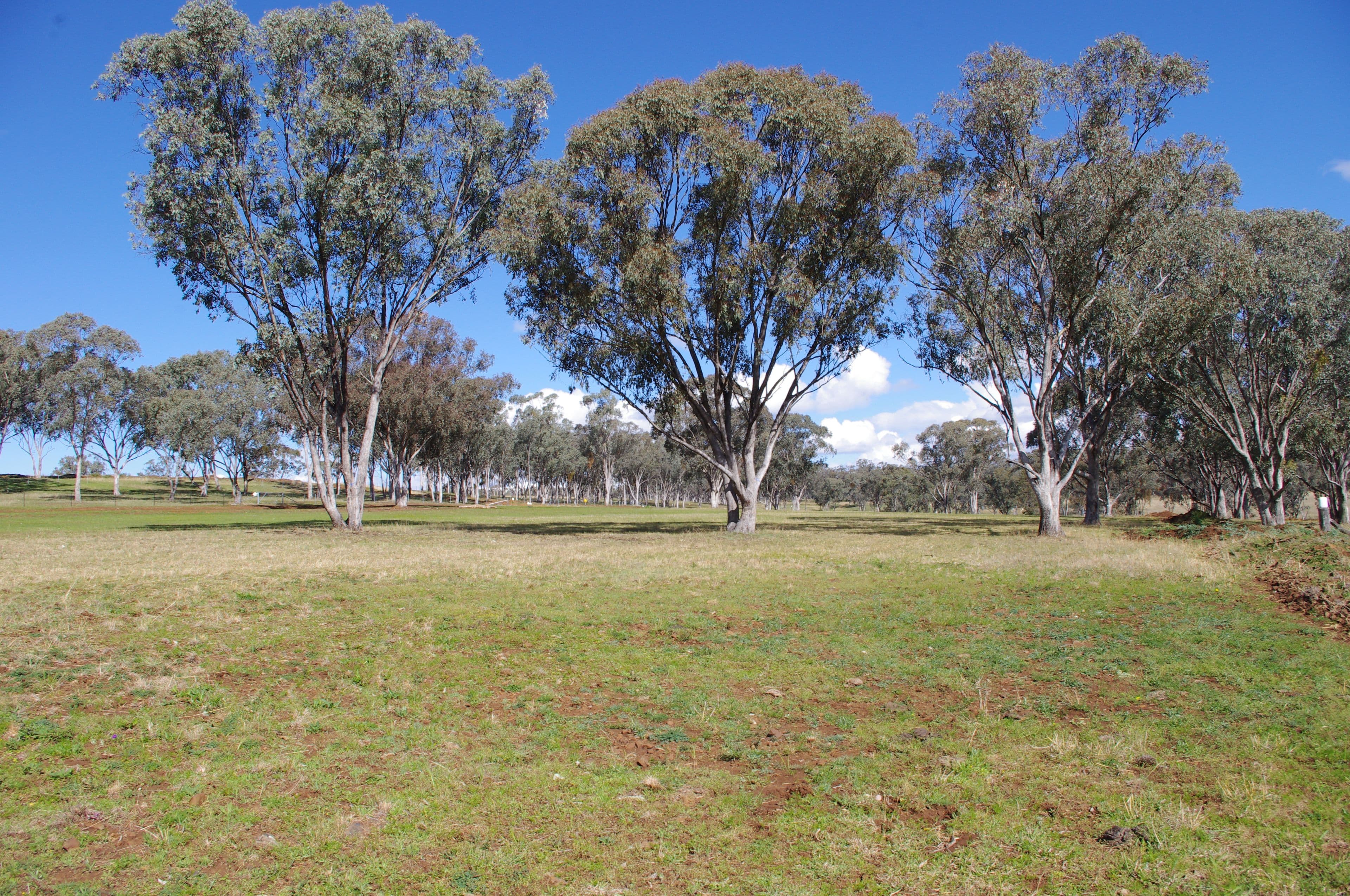 Lot 5 White Box Place, Inverell NSW 2360, Inverell - Thumbnail 8