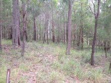32 Highlands Hill Road, MAROOCHY RIVER QLD 4561, Maroochy River - Thumbnail 3