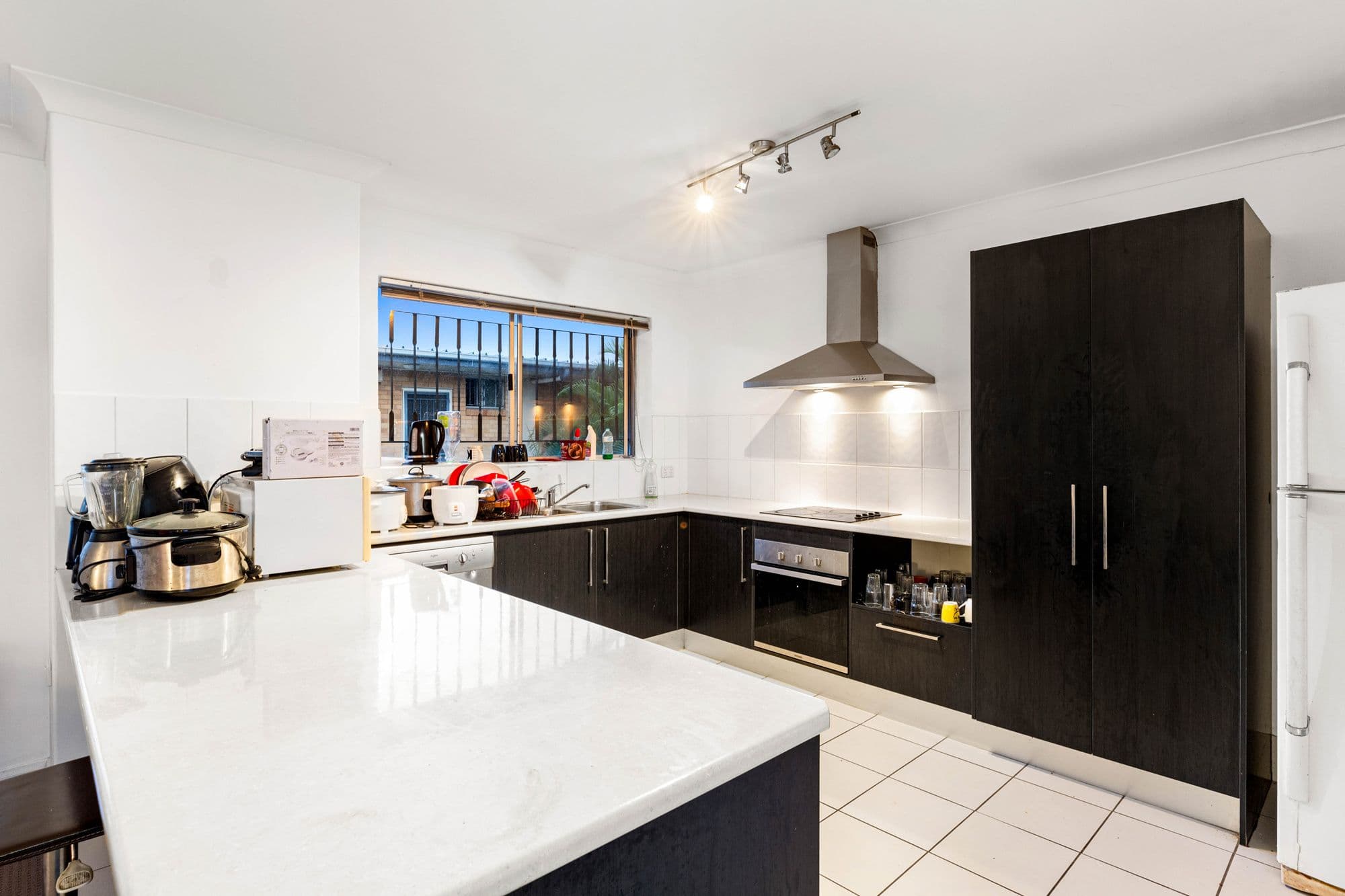 117 Chatsworth Road, Coorparoo QLD 4151, Coorparoo - Thumbnail 4