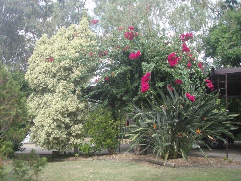 8 Gibson Street, GOONDIWINDI QLD 4390, Goondiwindi - Thumbnail 2