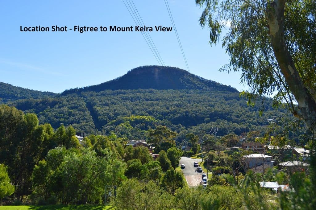 147 Jacaranda Avenue, Figtree - Thumbnail 5