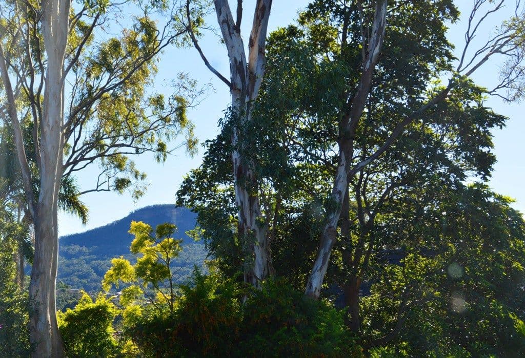 147 Jacaranda Avenue, Figtree - Thumbnail 6