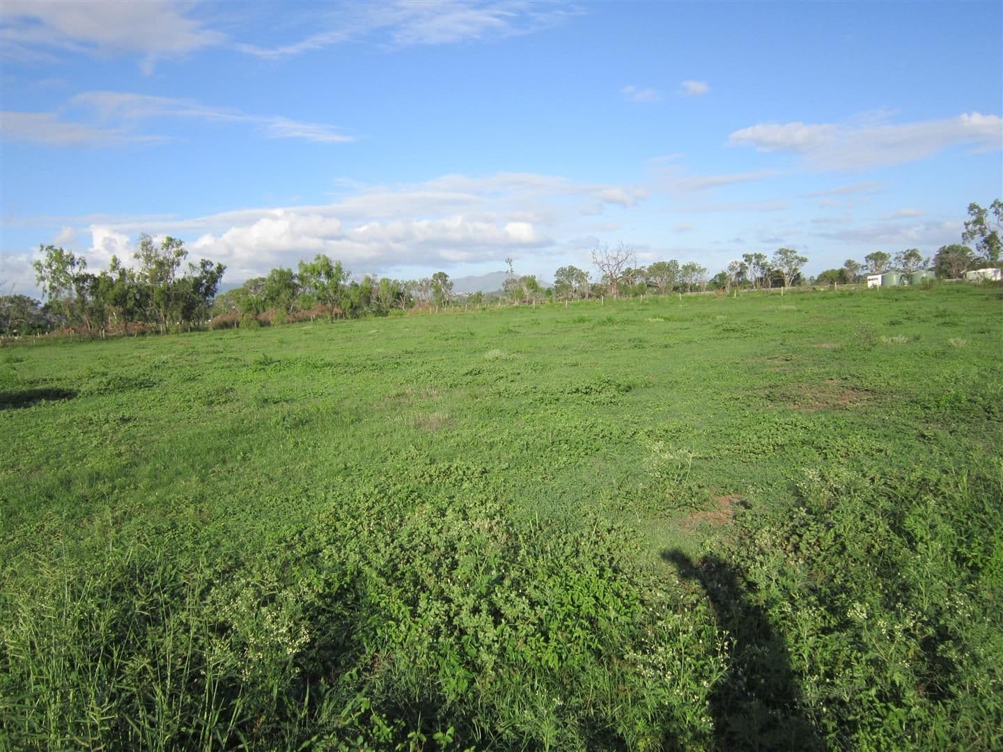26 Fogarty Road, Fairy Bower QLD 4700, Fairy Bower - Image 1
