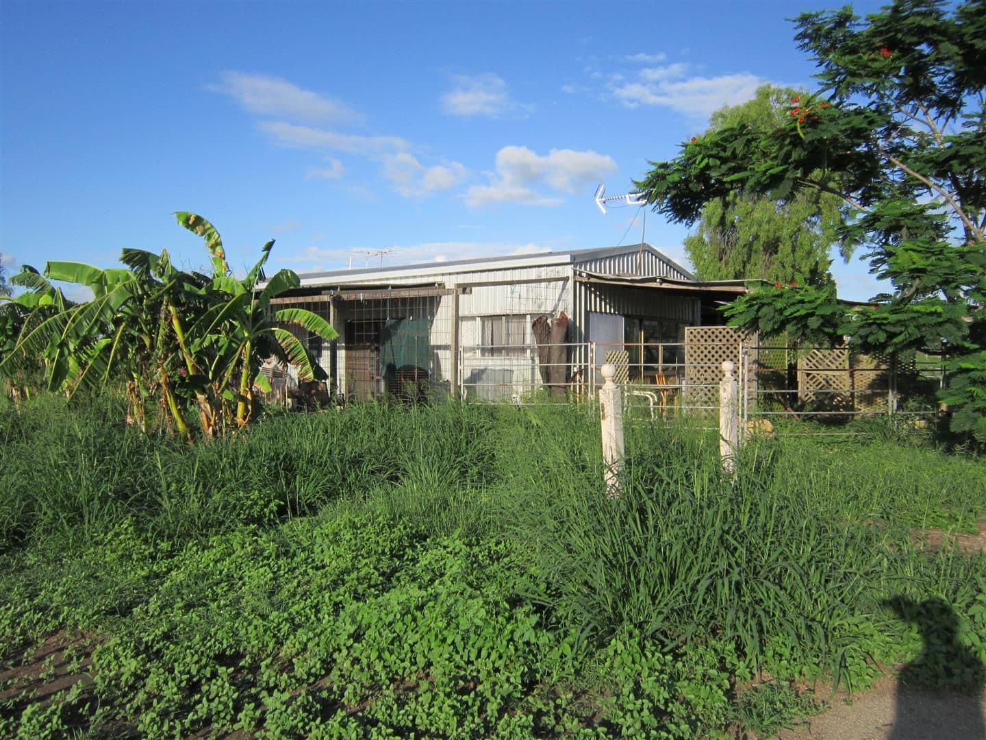 26 Fogarty Road, Fairy Bower QLD 4700, Fairy Bower - Thumbnail 2