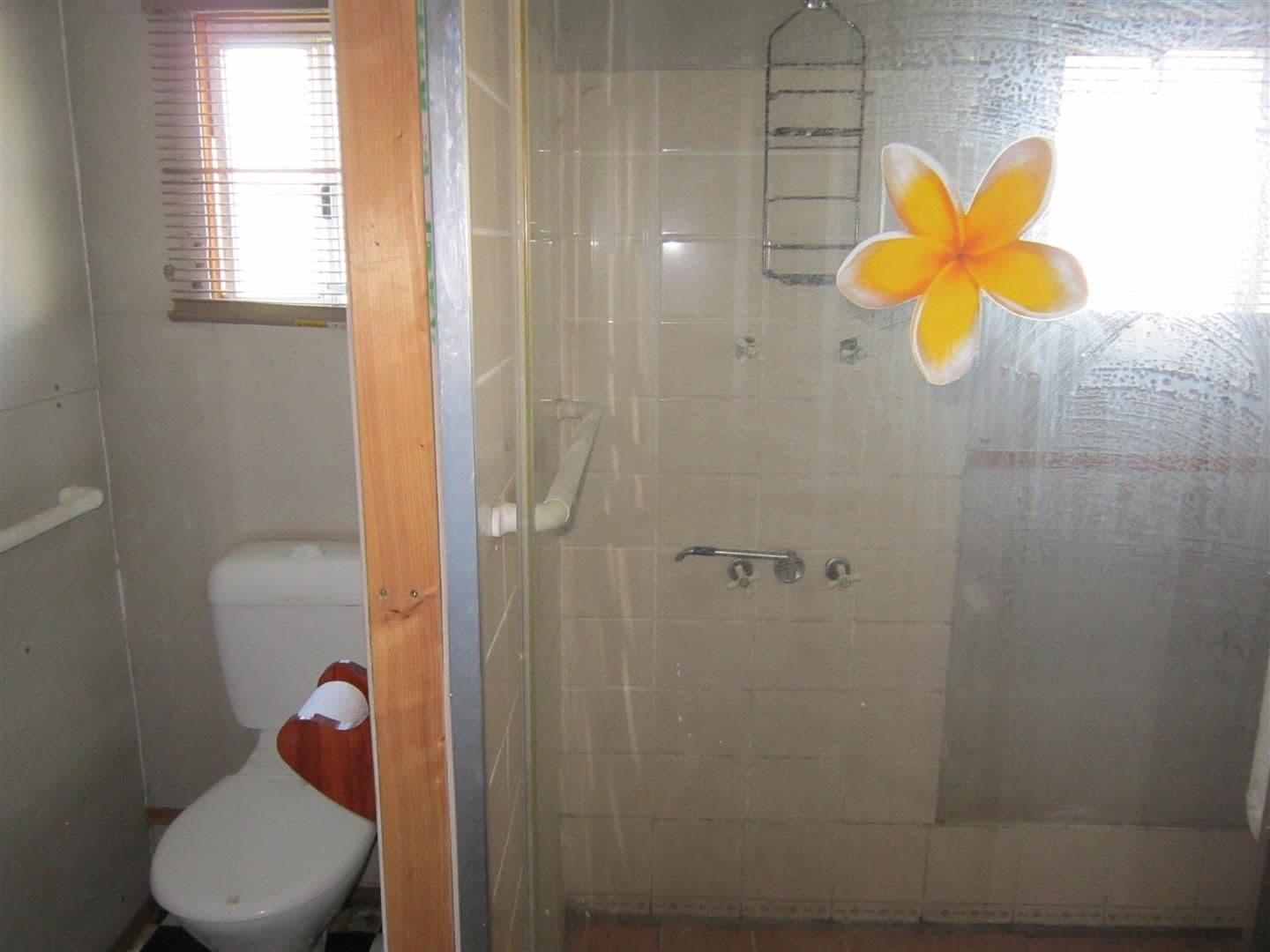 26 Fogarty Road, Fairy Bower QLD 4700, Fairy Bower - Thumbnail 8