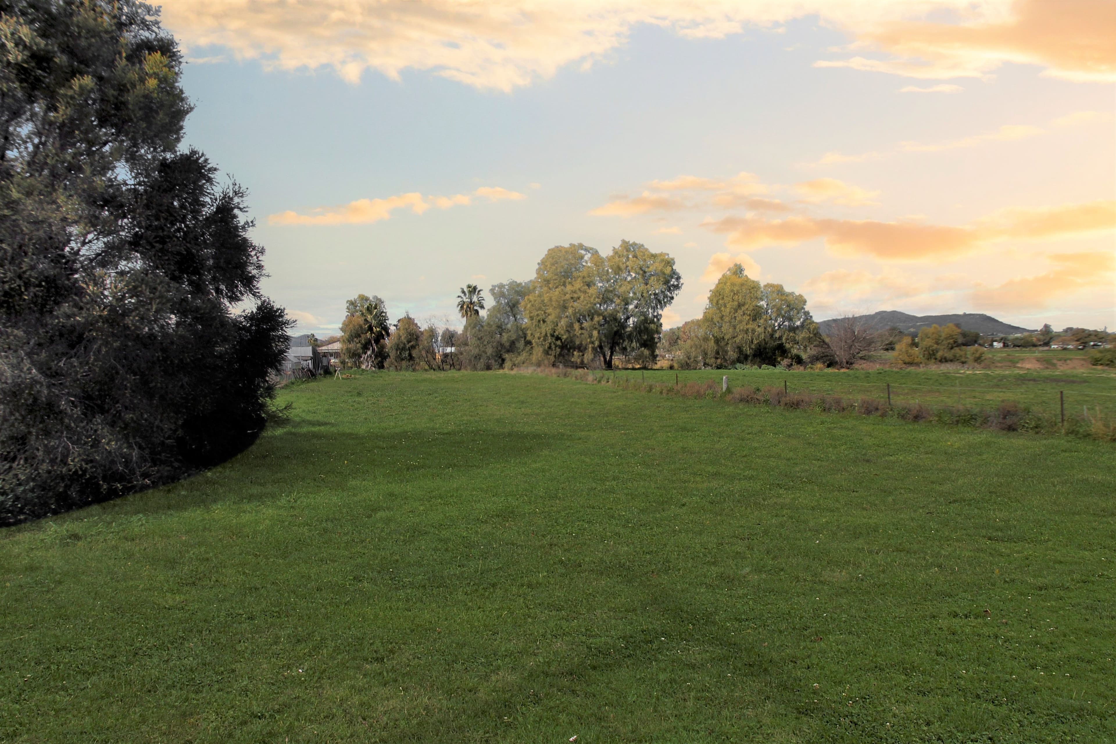 2 Conlon Street, Quirindi NSW 2343, Quirindi - Image 1