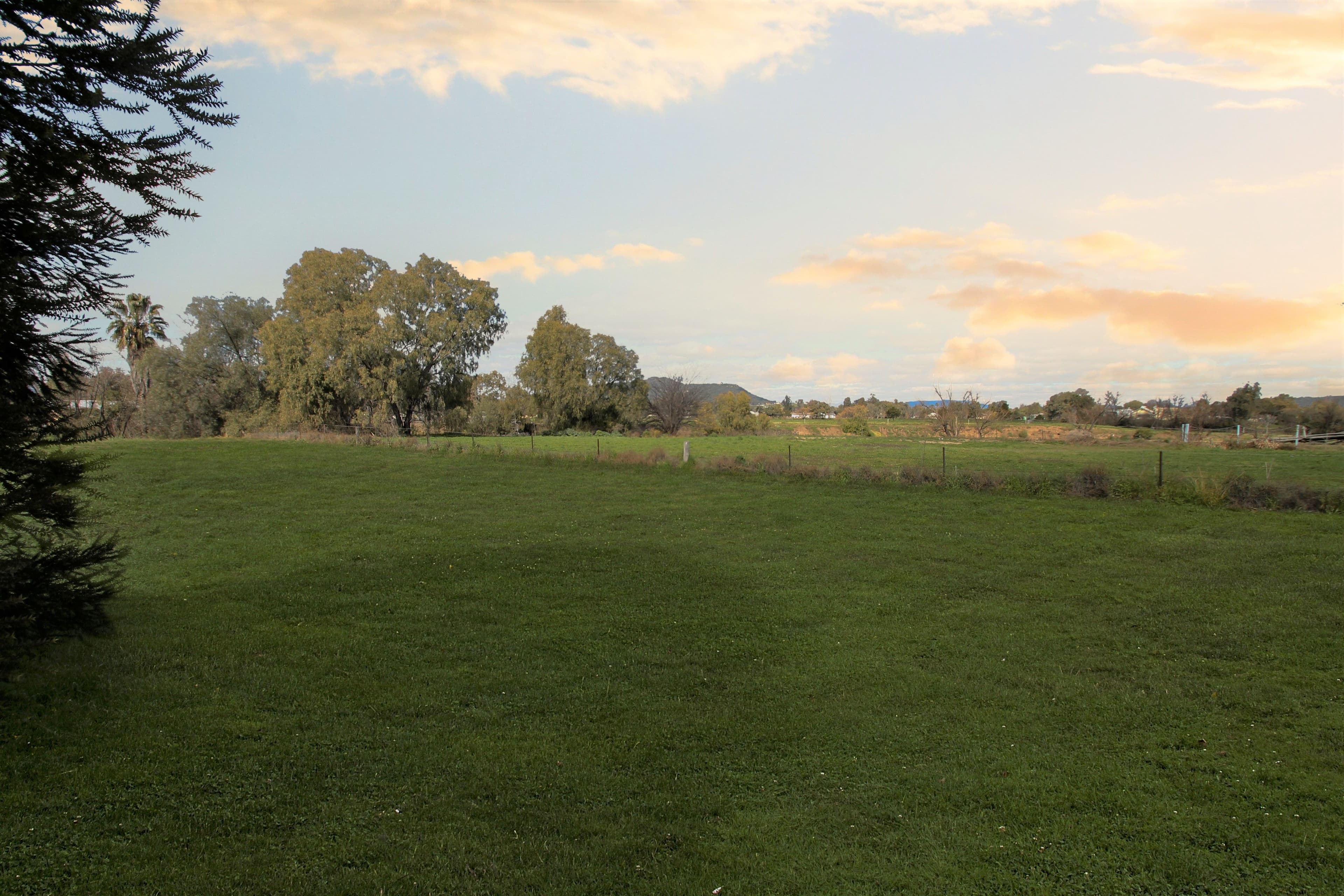 2 Conlon Street, Quirindi NSW 2343, Quirindi - Thumbnail 3