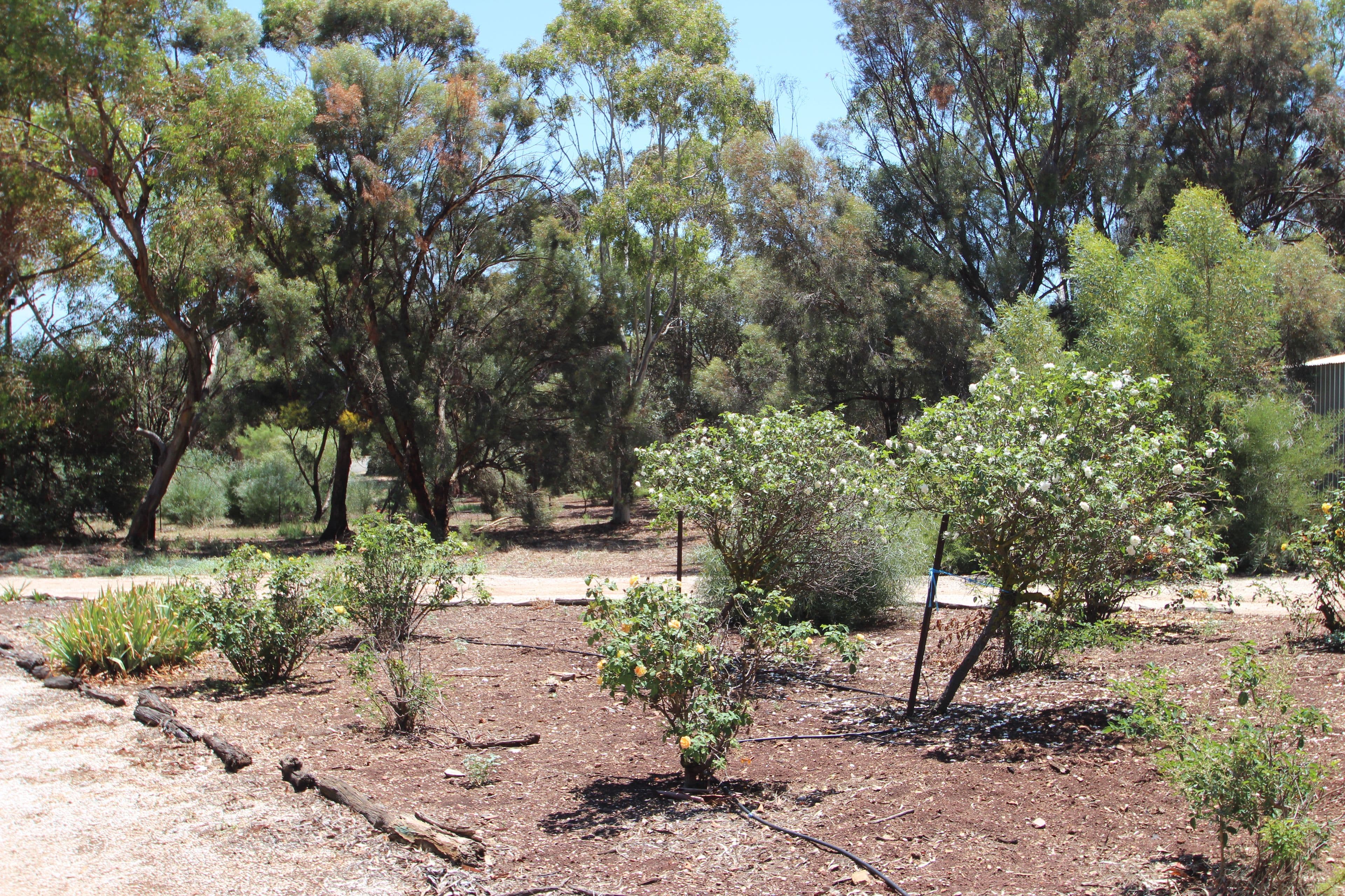 35 Ayers Street, Burra SA 5417, Burra - Thumbnail 3