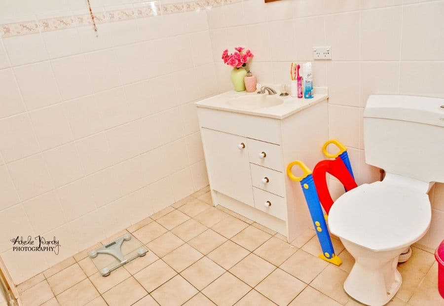 41 Hills Street, YOUNG NSW 2594, Young - Thumbnail 8