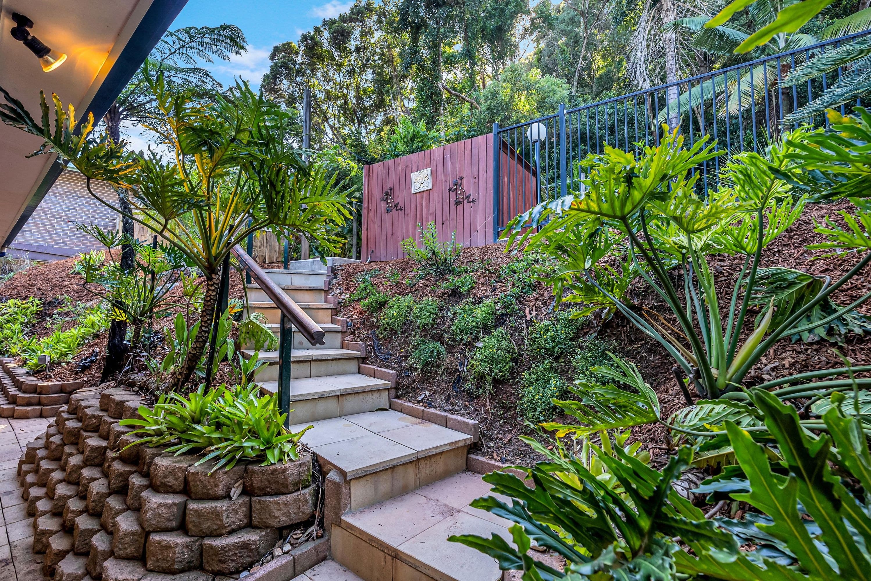 6 Latreille Terrace, Brinsmead - Thumbnail 3