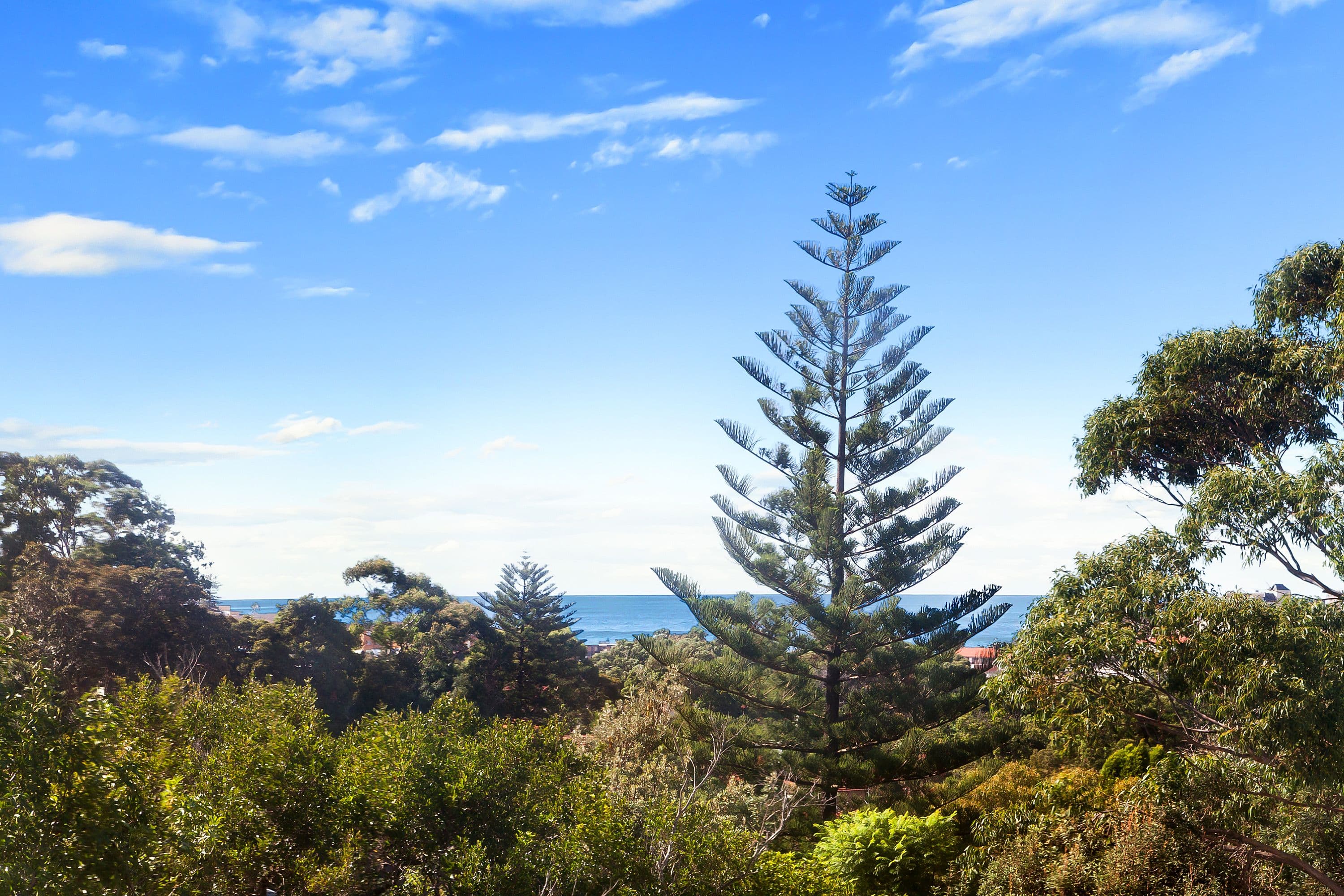 129a Carrington Road, Coogee NSW 2034, Coogee - Thumbnail 2