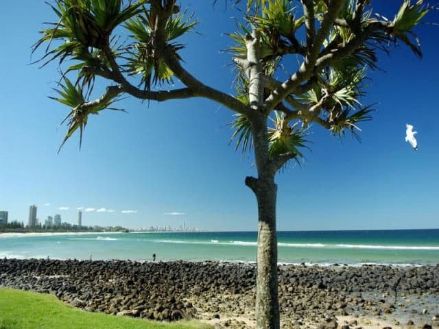 26 Goodwin Terrace, BURLEIGH HEADS QLD 4220, Burleigh Heads - Thumbnail 6
