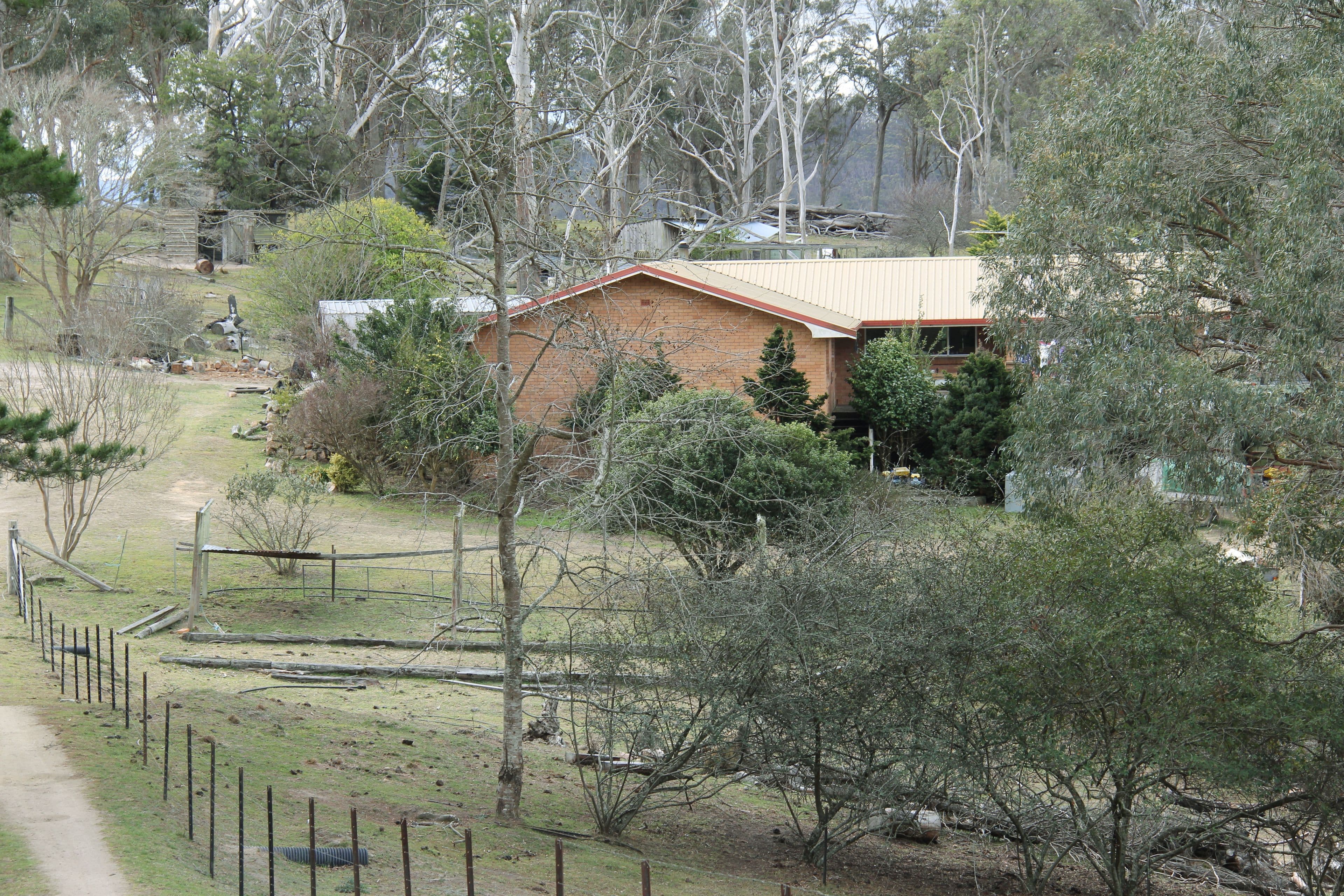 157 Kellys Road, Tenterfield - Image 1