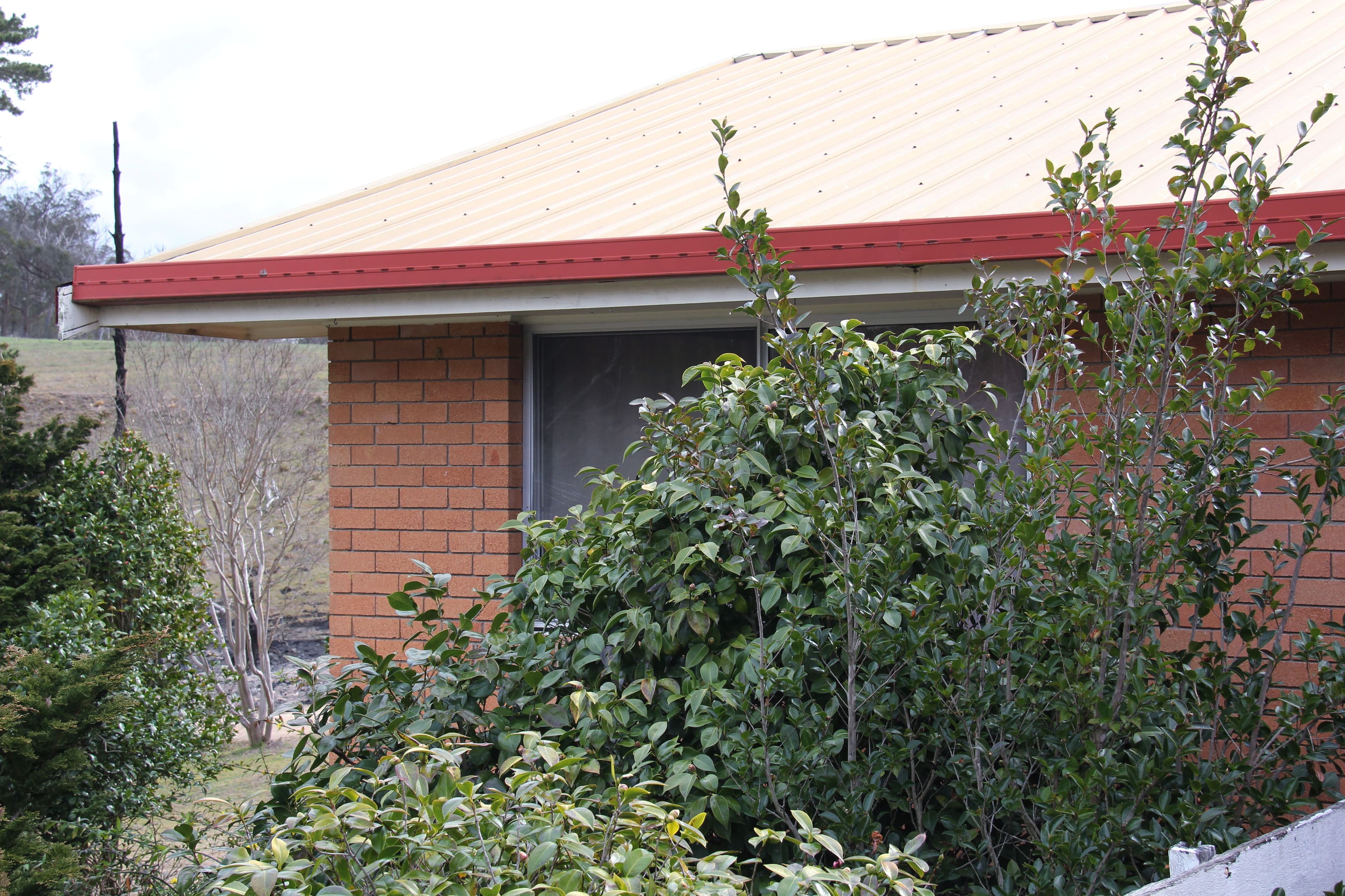 157 Kellys Road, Tenterfield - Thumbnail 3