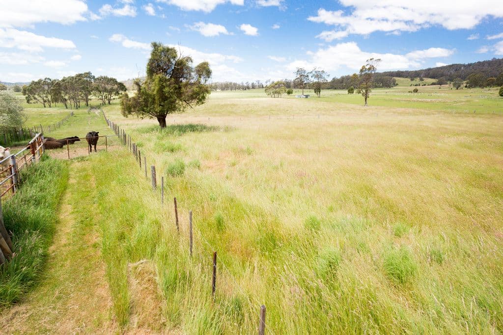 404 Loop Road, Glengarry TAS 7275, Glengarry - Thumbnail 3