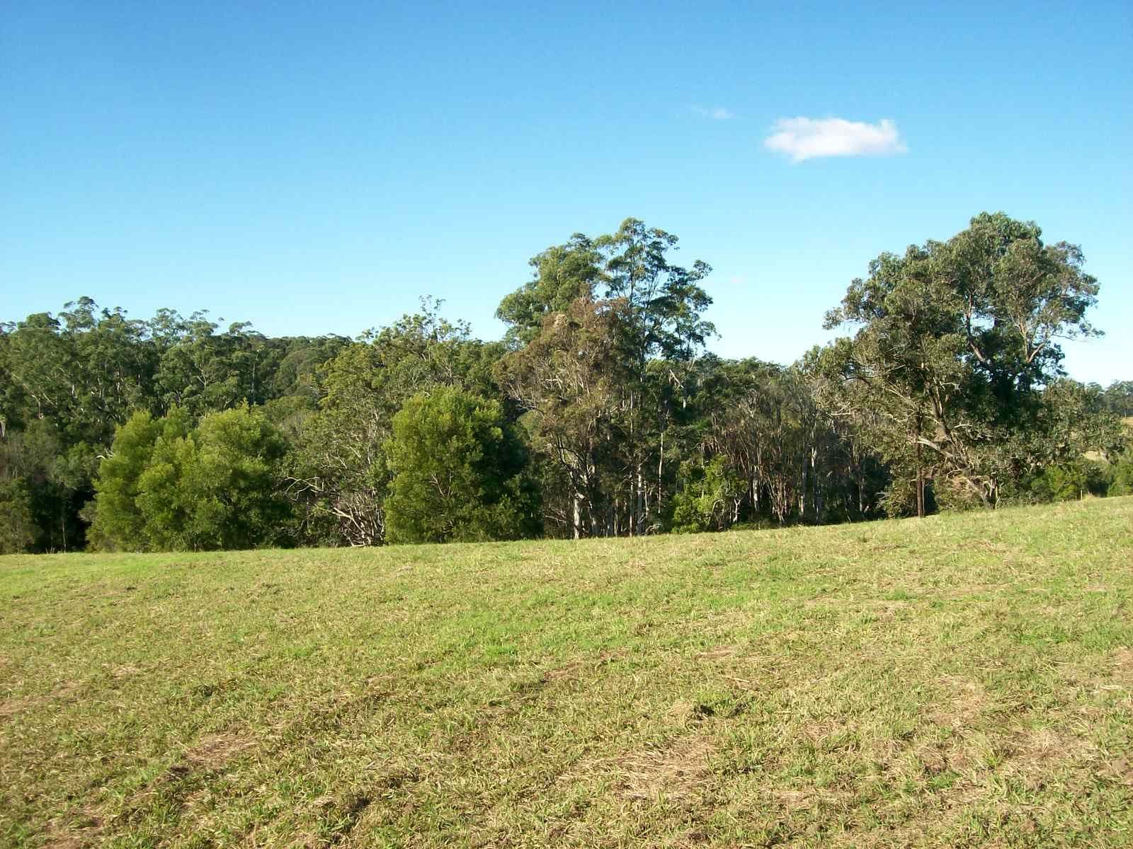 38 Jordan Road, Bellingen NSW 2454, Bellingen - Thumbnail 4