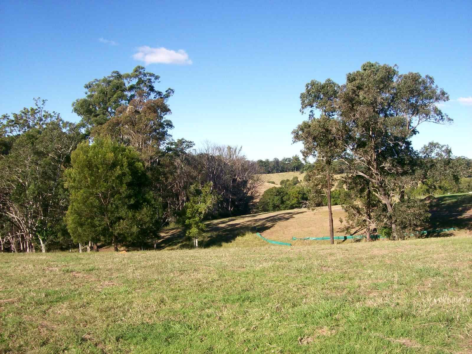 38 Jordan Road, Bellingen NSW 2454, Bellingen - Thumbnail 5