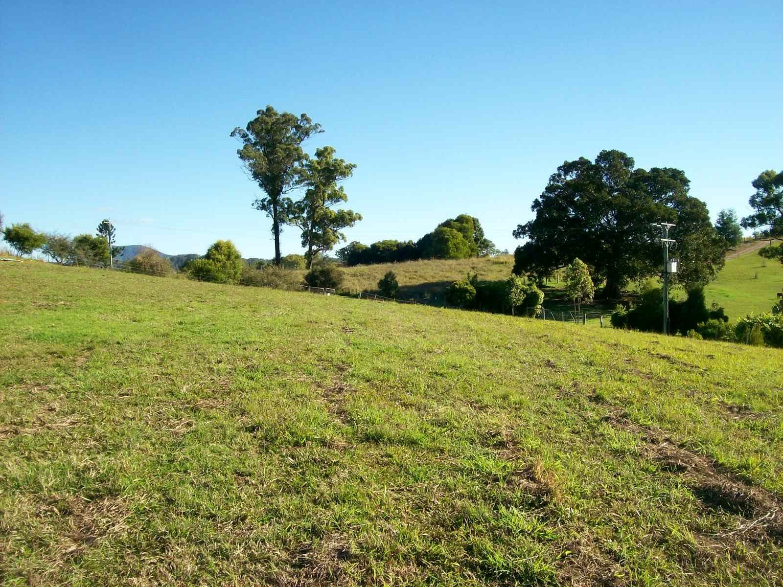 38 Jordan Road, Bellingen NSW 2454, Bellingen - Thumbnail 6