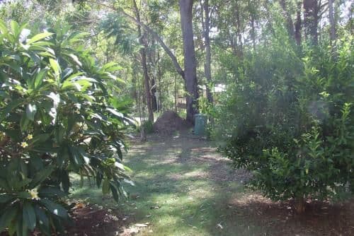 1 Cutter Street, Russell Island QLD 4184, Russell Island - Thumbnail 8