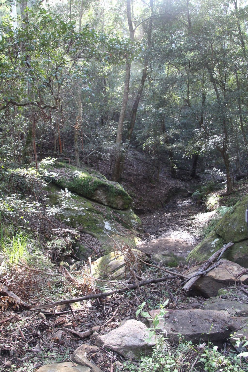 Lot 54 Putty Road, Garland Valley NSW 2330, Garland Valley - Image 1