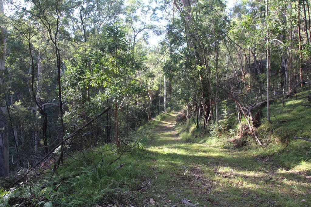 Lot 54 Putty Road, Garland Valley NSW 2330, Garland Valley - Thumbnail 3