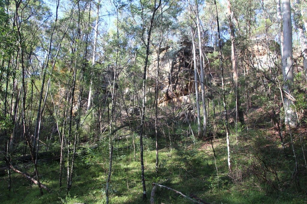 Lot 54 Putty Road, Garland Valley NSW 2330, Garland Valley - Thumbnail 4