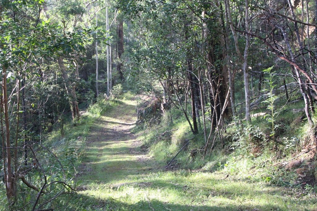 Lot 54 Putty Road, Garland Valley NSW 2330, Garland Valley - Thumbnail 5