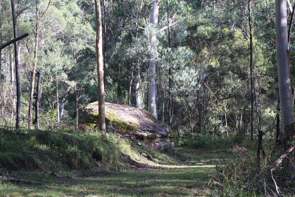 Lot 54 Putty Road, Garland Valley NSW 2330, Garland Valley - Thumbnail 6
