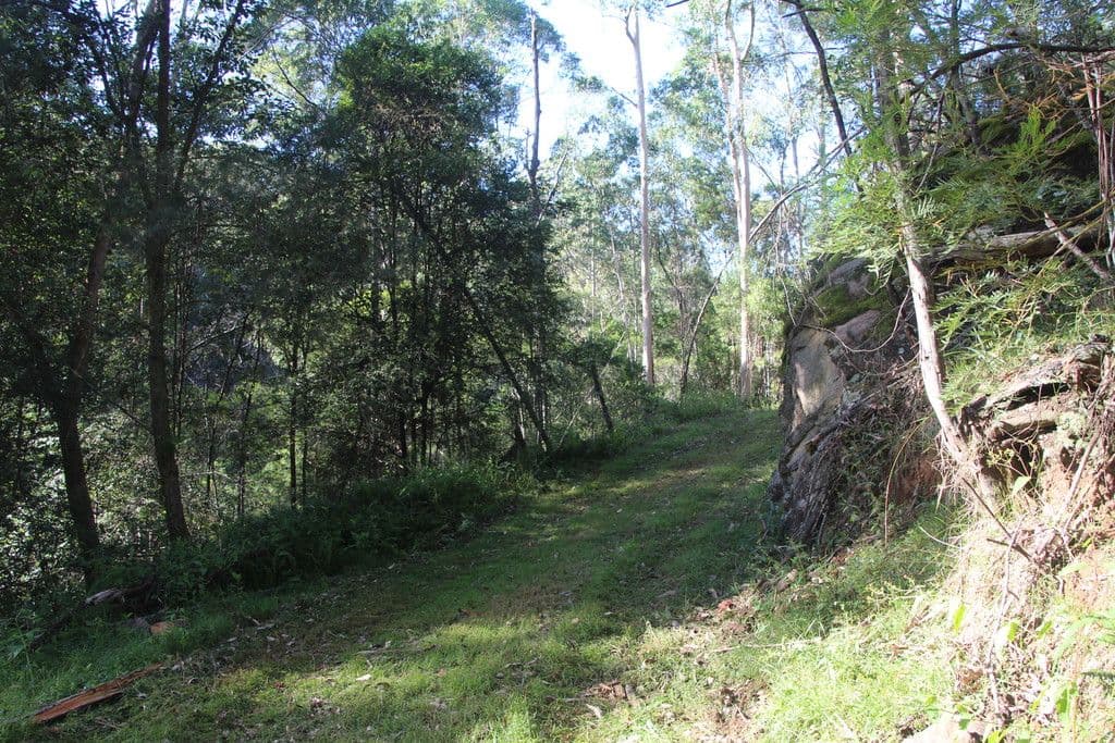 Lot 54 Putty Road, Garland Valley NSW 2330, Garland Valley - Thumbnail 7