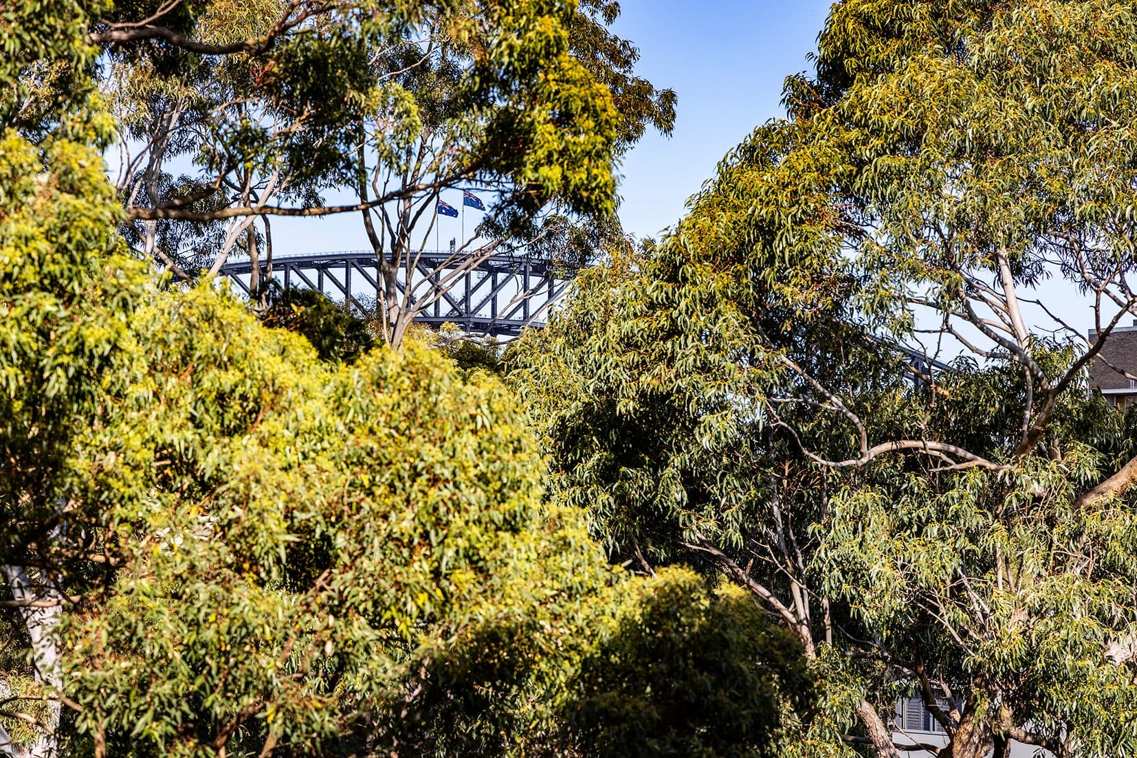 11 Sherlock Street, Brassall, QLD 4305, Brassall - Thumbnail 5