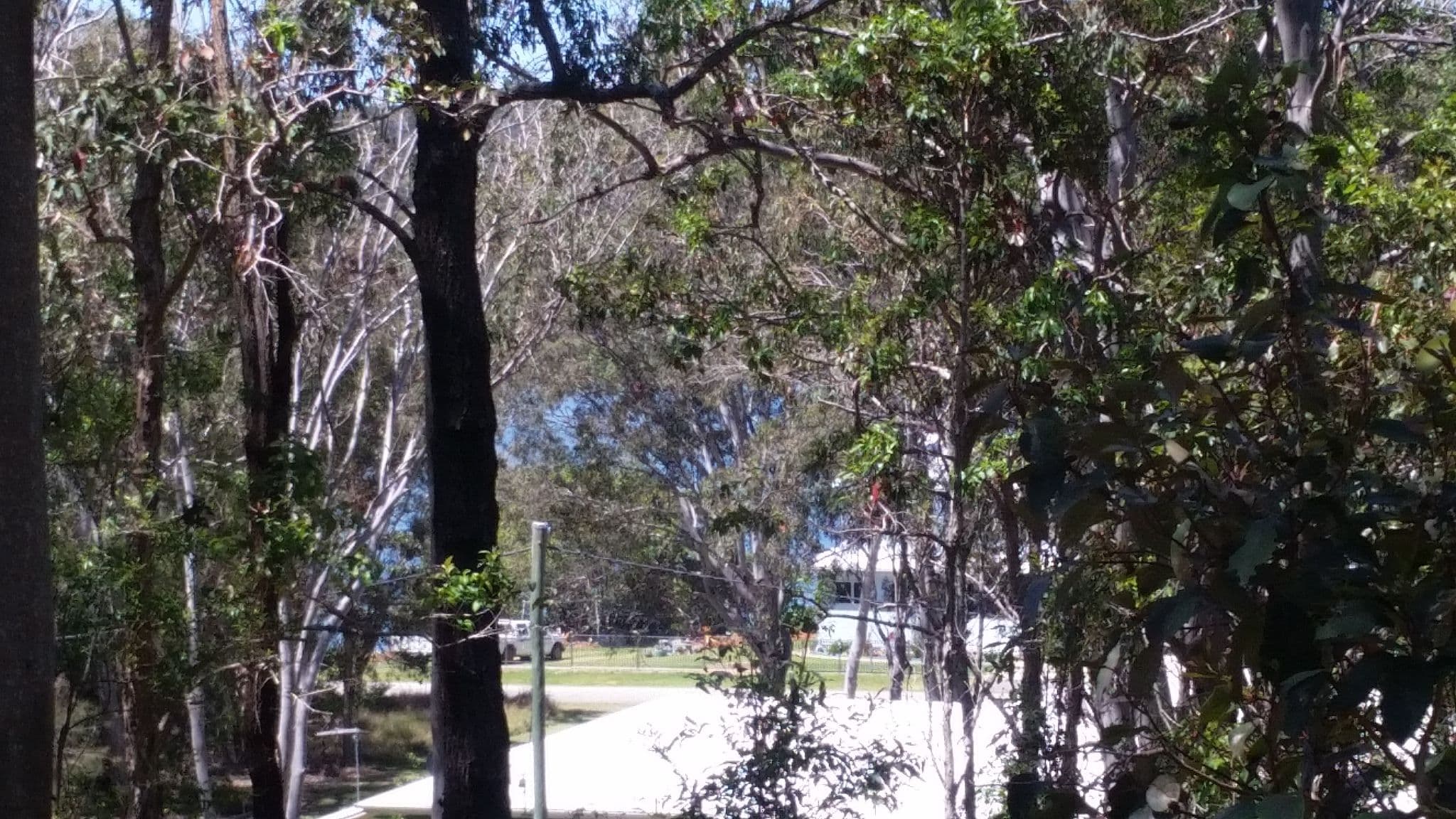 47 Highland Ridge Road, Russell Island QLD 4184, Russell Island - Thumbnail 4